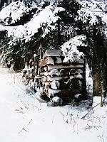  2. Januar 2010 - auf dem Weg